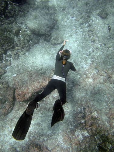 punta suarex galapagos