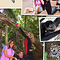 Belize Adventure