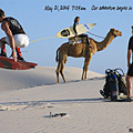 Desert Adventure